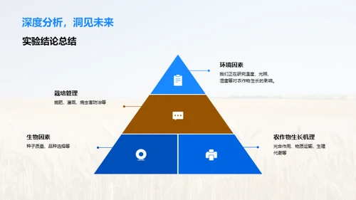 农学研究探索