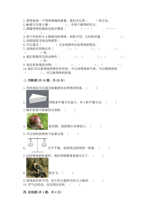 教科版一年级下册科学期末测试卷（轻巧夺冠）.docx