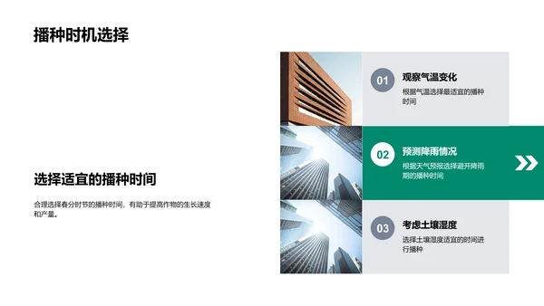 春分农事应对策略PPT模板