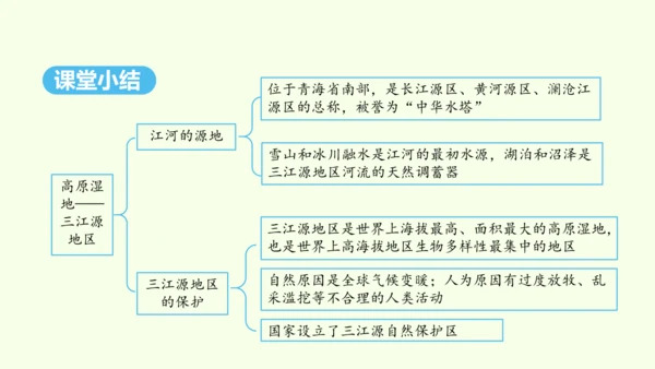 9.2 高原湿地——三江源地区（课件29张）- 人教版地理八年级下册