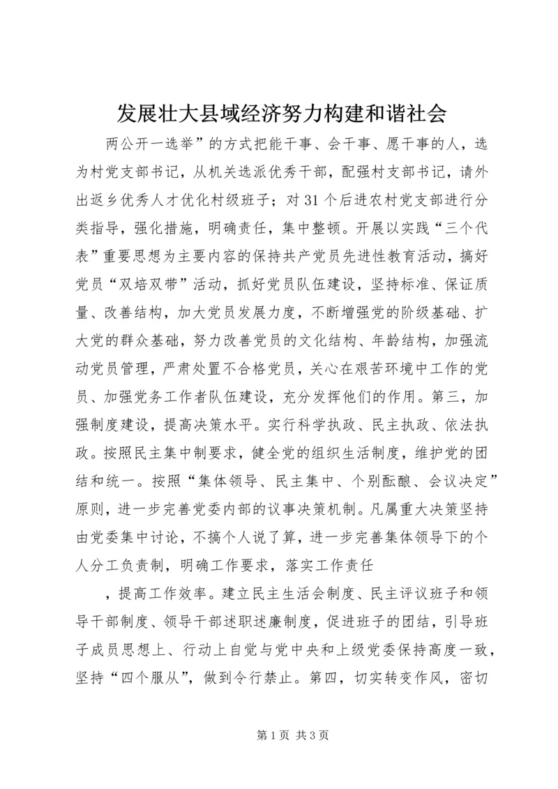 发展壮大县域经济努力构建和谐社会.docx