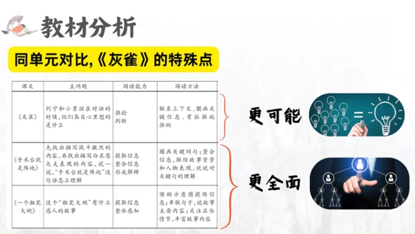 三年级语文上册灰雀说课课件