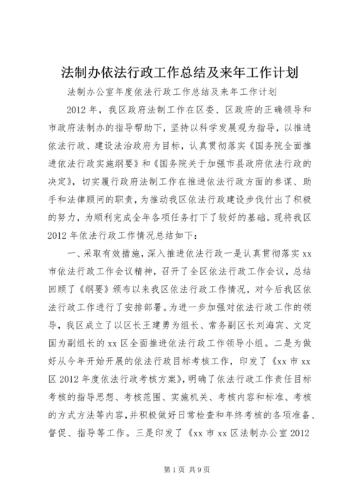 法制办依法行政工作总结及来年工作计划.docx