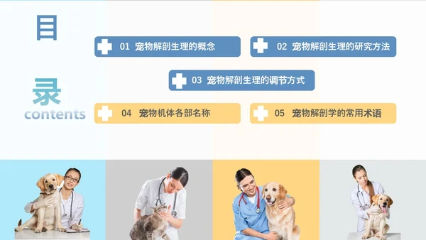 实拍风宠物解剖生理宠物解剖生理讲座PPT