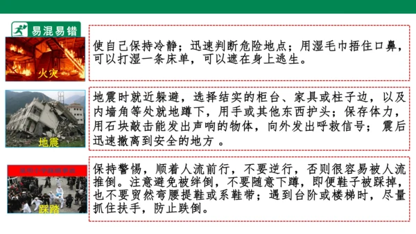 新课标七上第四单元生命的思考复习课件2023