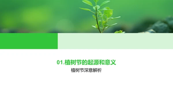 播种绿意 传承希望