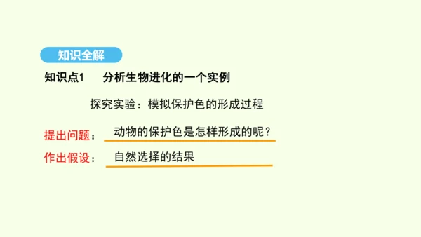 7.3.3生物进化的原因课件-人教版生物八年级下册(共37张PPT)