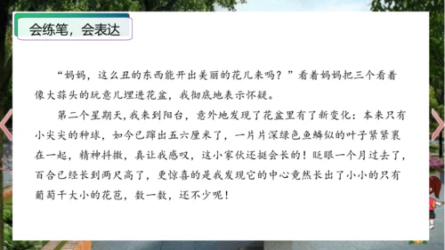 统编版三年级语文下册单元作文能力提升第一单元+习作：我的植物朋友（教学课件）