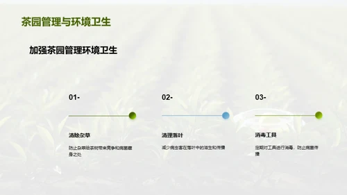 茶园病虫害科学防治