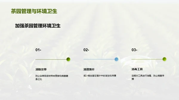 茶园病虫害科学防治