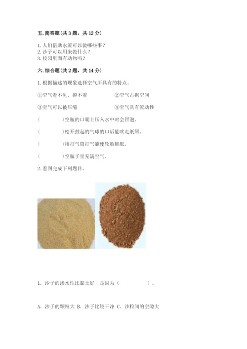 苏教版一年级下册科学期末考试试卷附答案下载.docx