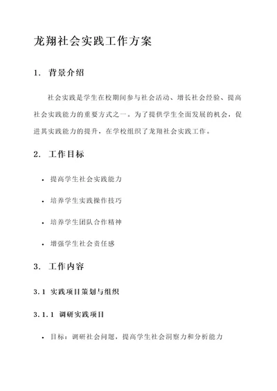 龙翔社会实践工作方案