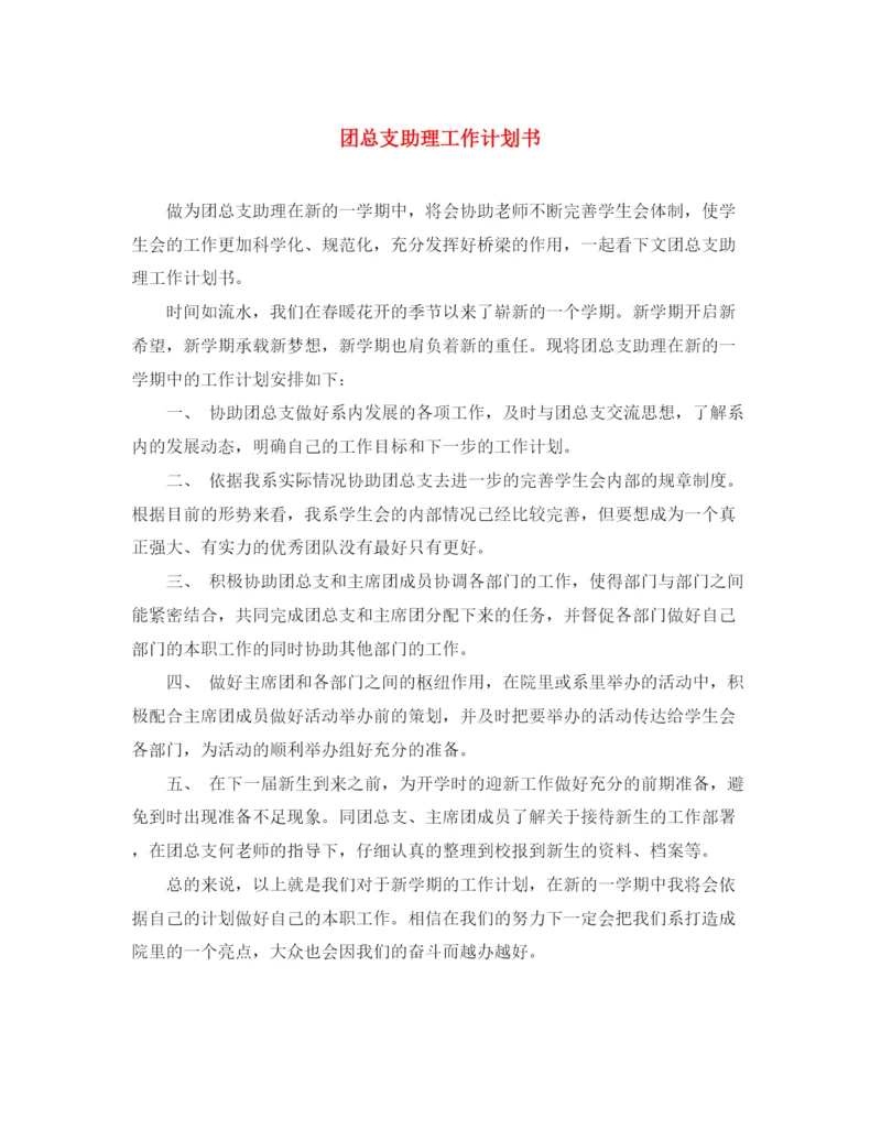 精编之团总支助理工作计划书.docx