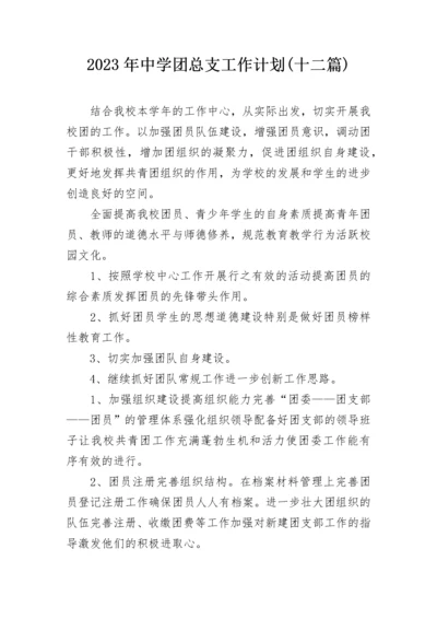 2023年中学团总支工作计划(十二篇).docx