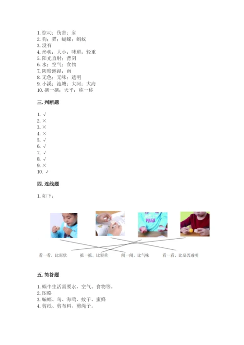 教科版一年级下册科学期末测试卷含完整答案【全国通用】.docx