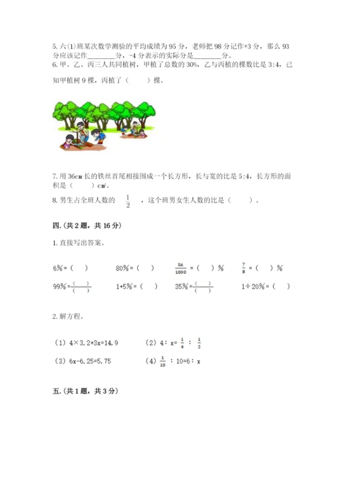 小学六年级升初中模拟试卷精品【能力提升】.docx