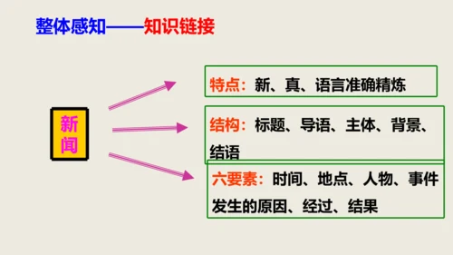 部编版八上语文第一单元作文训练——新闻采访与写作同步课件