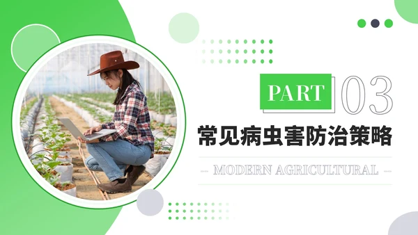 绿色商务风现代农业种植技术PPT模板