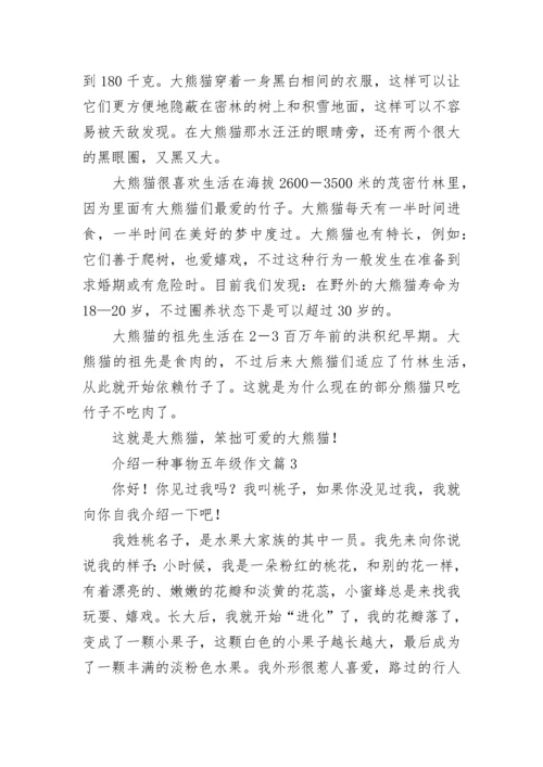 介绍一种事物五年级作文（精选10篇）.docx