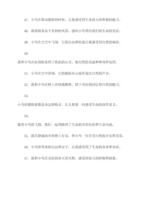 我和小鸟作文好词好句