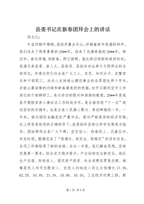 县委书记在新春团拜会上的讲话.docx