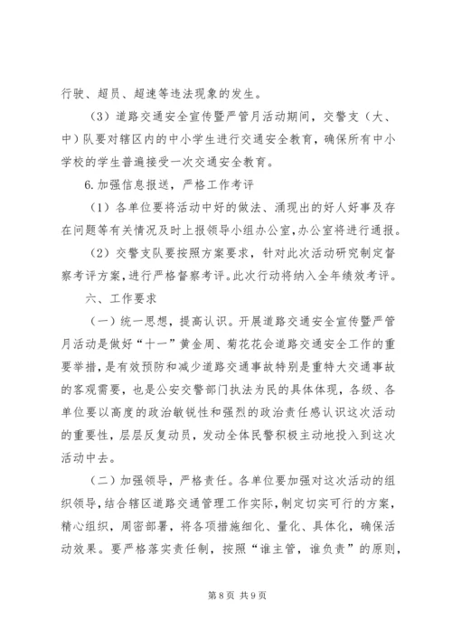 道路交通严管月指导方案.docx