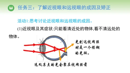 2024-2025学年人教版物理八年级上册5.4 眼睛和眼镜课件（24页ppt）