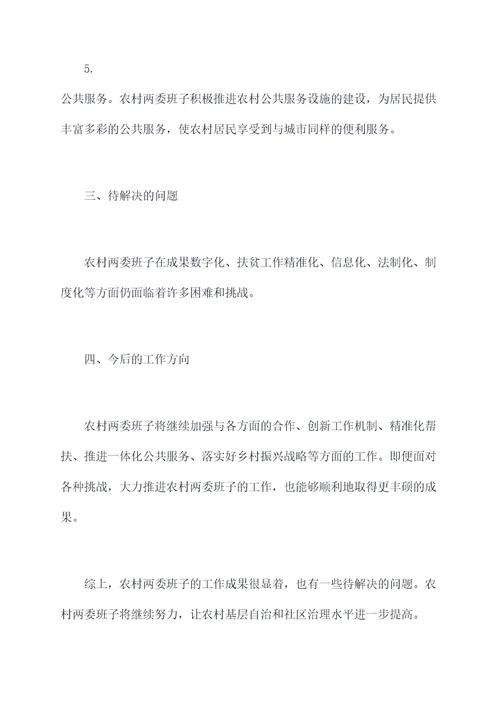 农村两委班孑工作报告