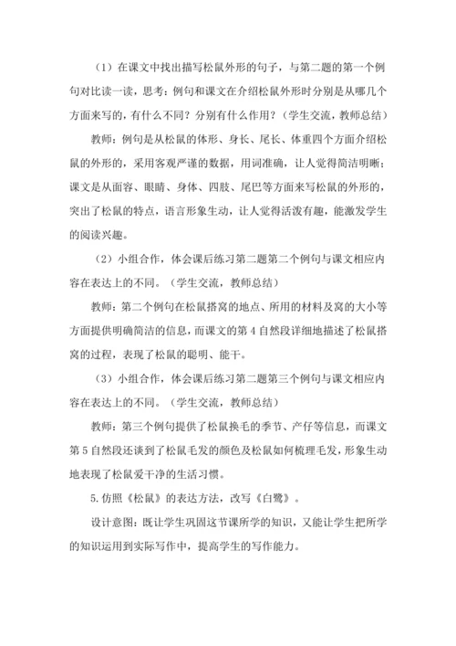 17 松鼠 教案