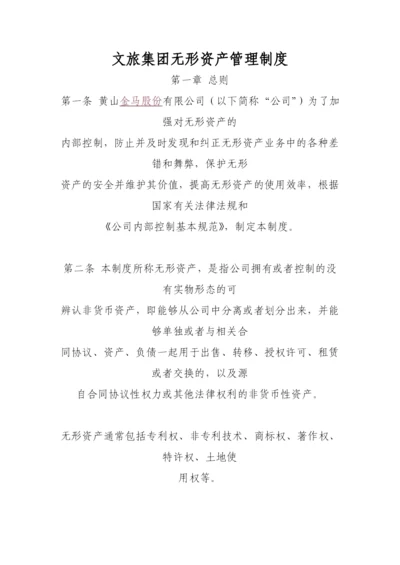 无形资产管理制度.docx