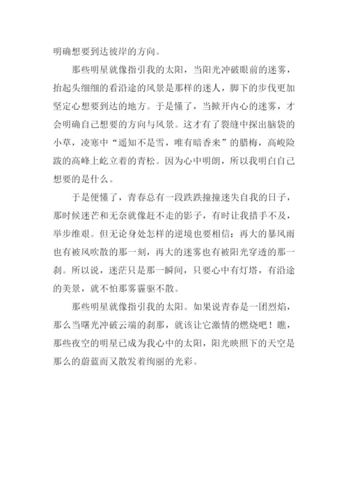 以“追星”为话题作文900字.docx