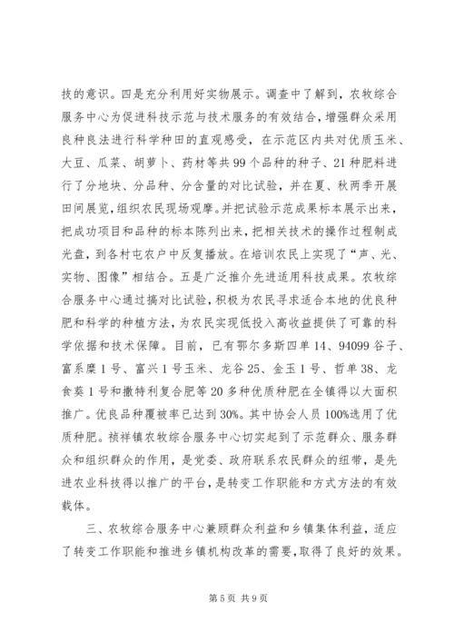 关于×镇农牧综合服务中心建设有关情况的调查.docx