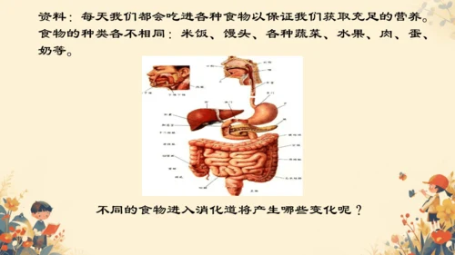 人教版（新课程标准）七年级下册4.2.2 消化和吸收课件(共22张PPT)
