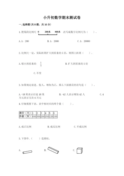 小升初数学期末测试卷完美版.docx