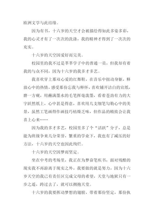 16岁的天空作文800字.docx