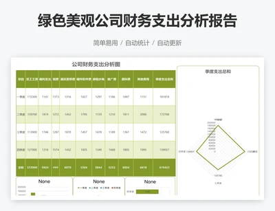 绿色美观公司财务支出分析报告