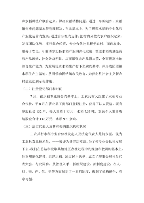 工农兵村水稻专业合作社示范专项项目可行性专题研究报告.docx