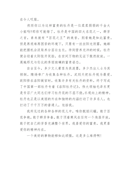 高中牡丹之爱议论文.docx