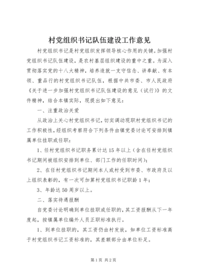 村党组织书记队伍建设工作意见.docx