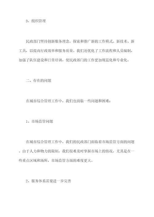 民政领导综治述职报告