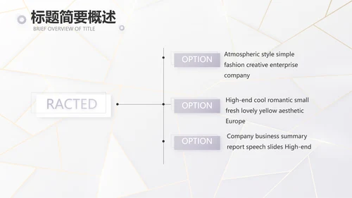 公司品牌策划方案工作总结计划PPT