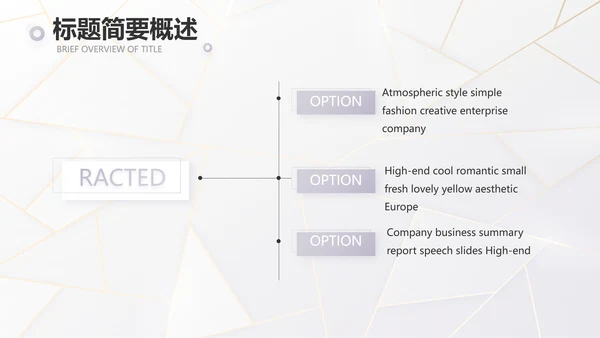 公司品牌策划方案工作总结计划PPT