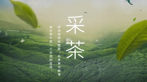 绿茶中国风茶道茶文化绿茶茶味通用PPT模板