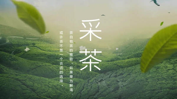 绿茶中国风茶道茶文化绿茶茶味通用PPT模板