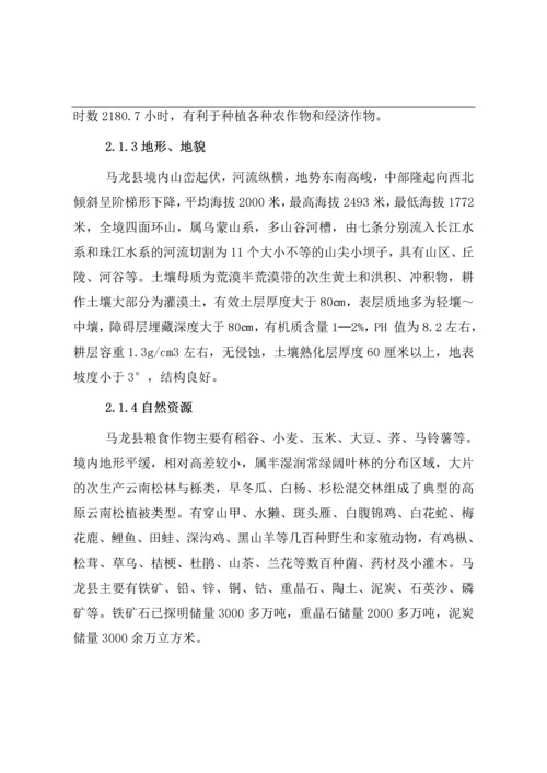 马龙县红石庄园建设项目可研报告.docx