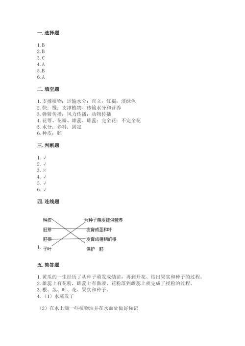 教科版科学四年级下册第一单元《植物的生长变化》测试卷（易错题）.docx