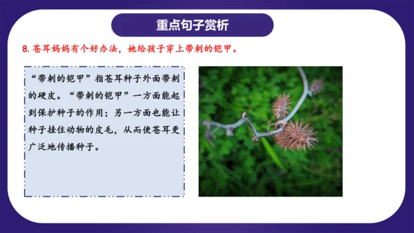 统编版2023-2024学年二年级语文上册单元复习第一单元（复习课件）