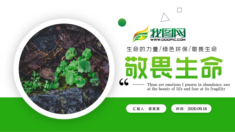 唯美绿色植物发芽植物生长敬畏生命PPT模板