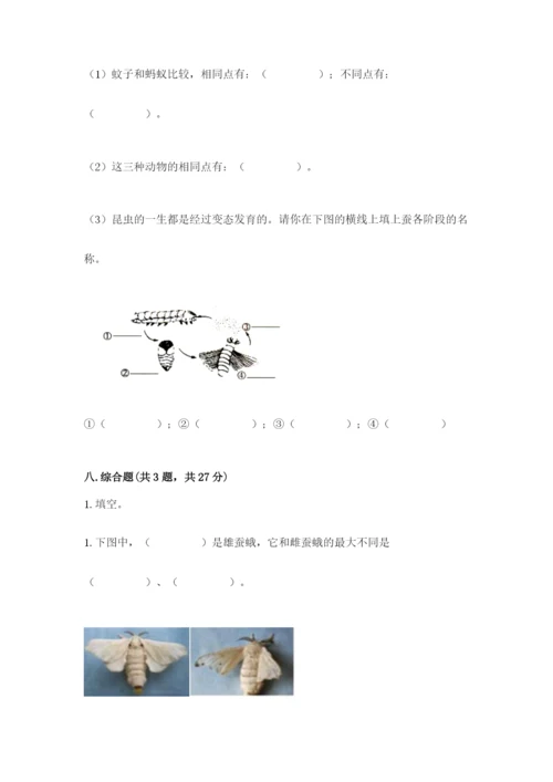 教科版三年级下册科学期末测试卷（达标题）.docx