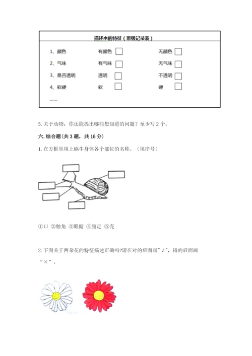 教科版一年级下册科学期末测试卷含答案【夺分金卷】.docx